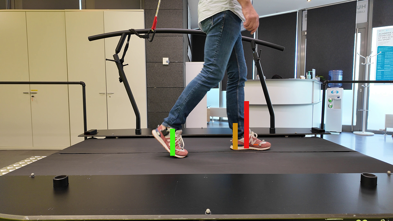Gait Monitoring with WalkinSense